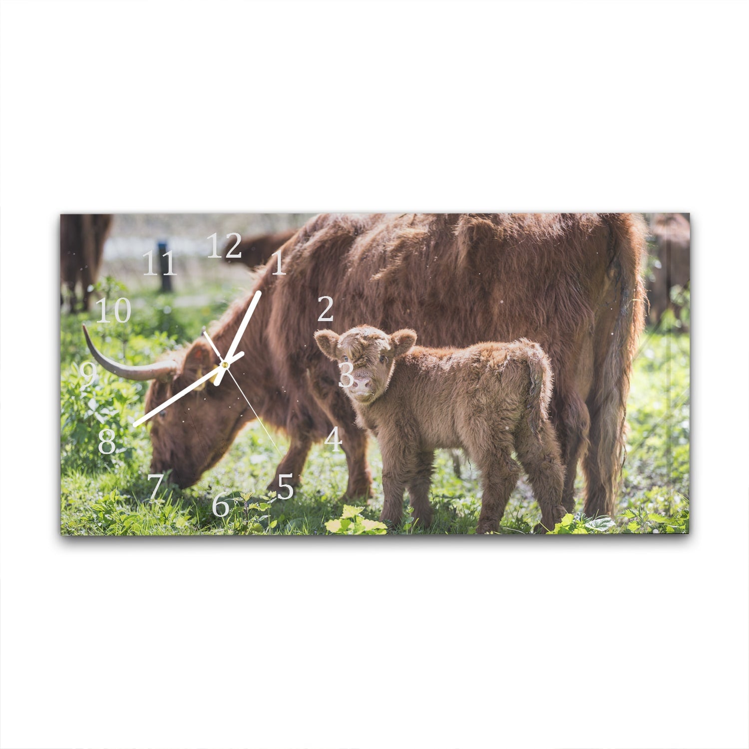 Wanduhr 60x30 - Mutter und Kalb