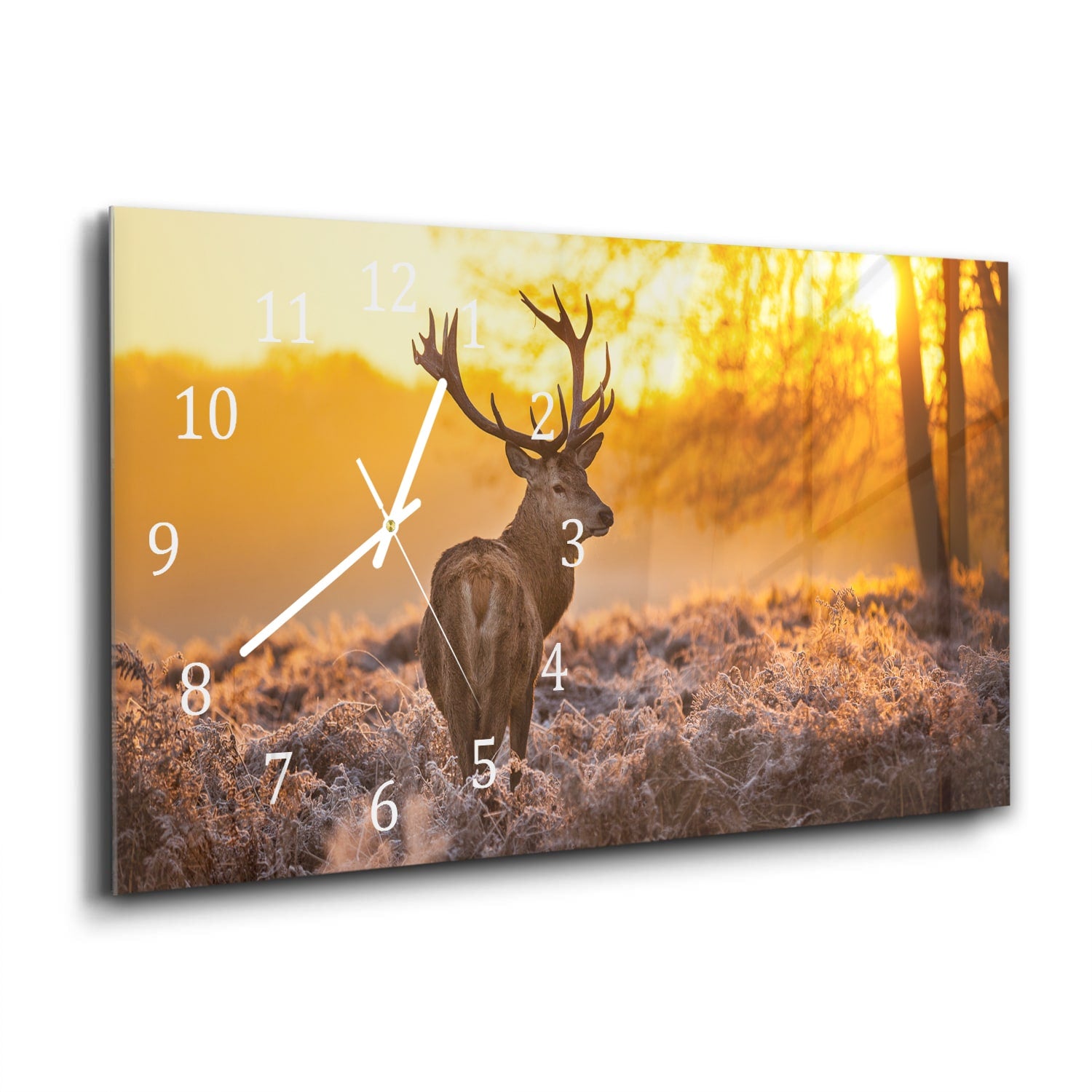 Wanduhr 60x30 - Edelhirsch in der Morgensonne