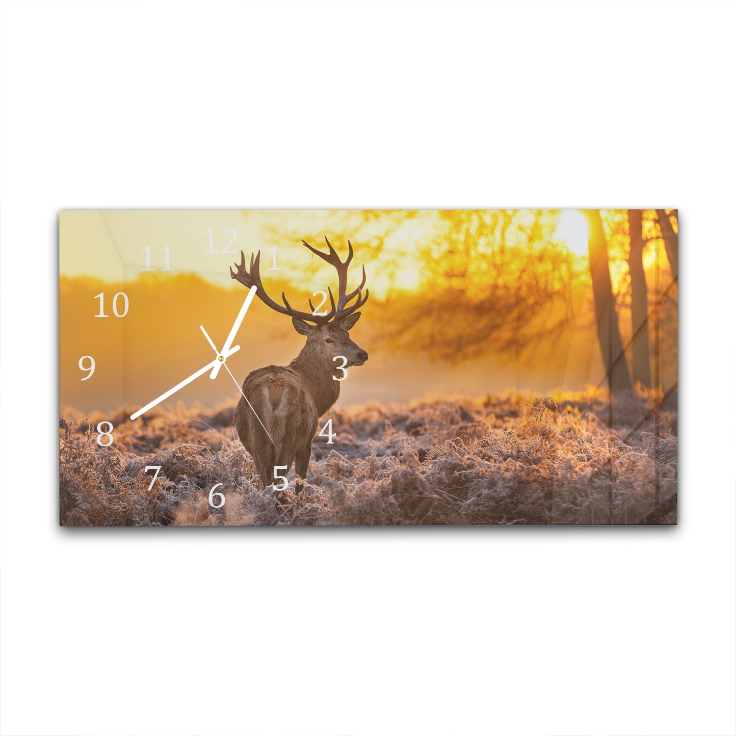 Wanduhr 60x30 - Edelhirsch in der Morgensonne