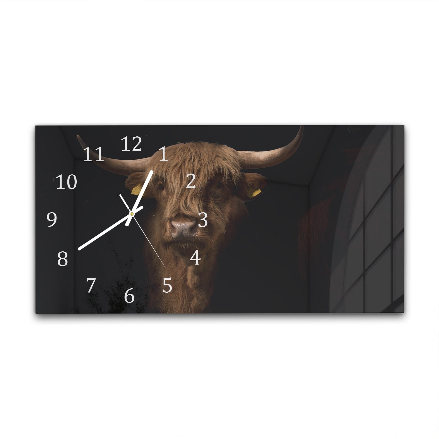 Wanduhr 60x30 - Schottisches Hochlandrind im Dunkeln