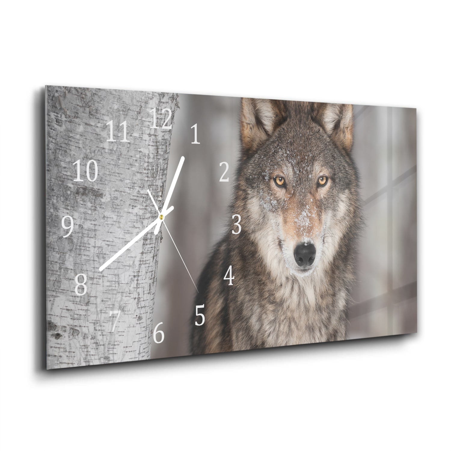 Wanduhr 60x30 - Grauer Wolf