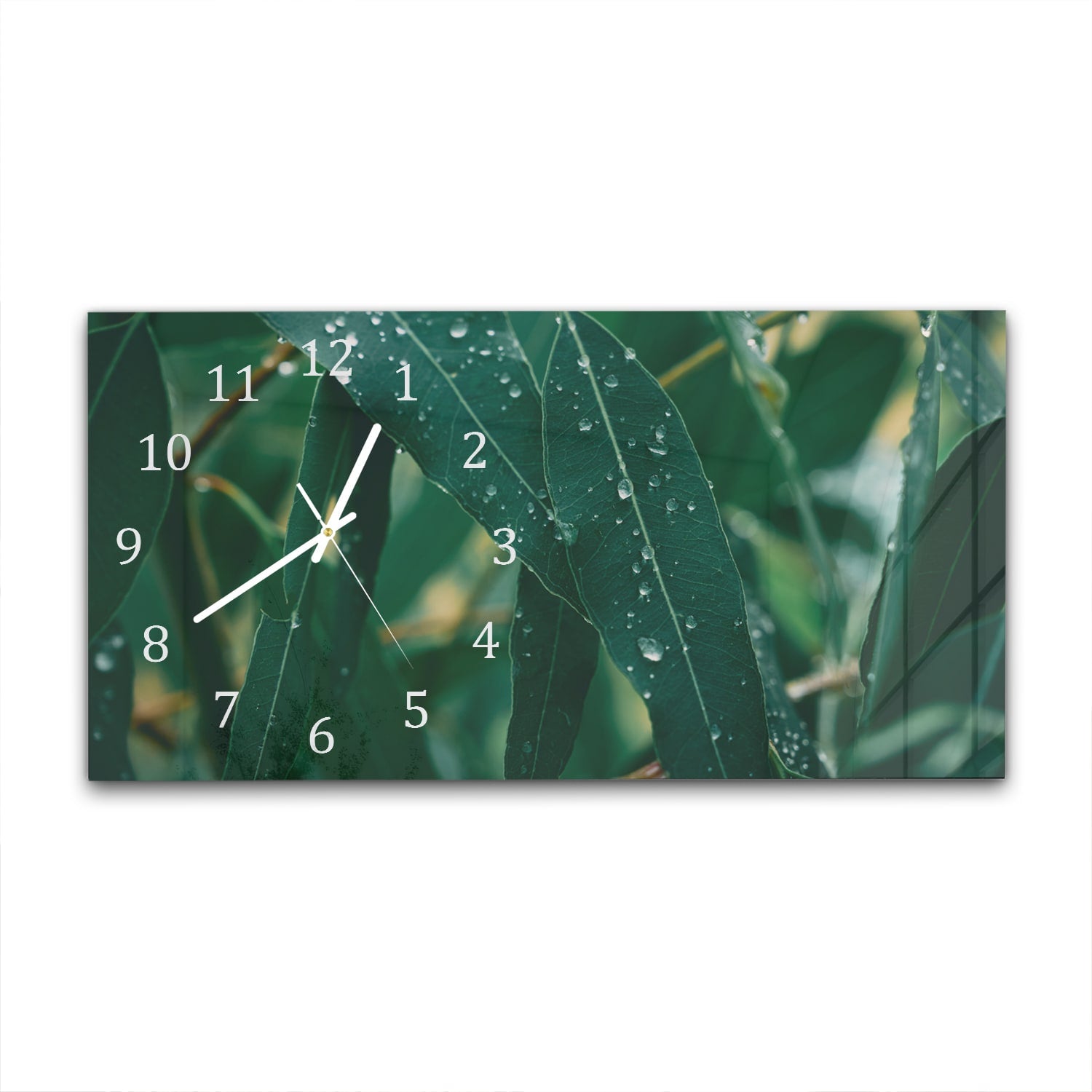 Wanduhr 60x30 - Eukalyptusblätter