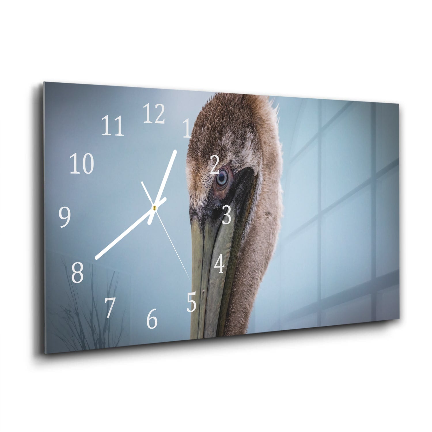 Wanduhr 60x30 - Majestätischer Pelikan