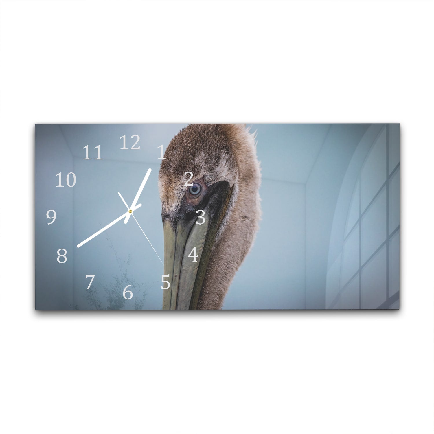 Wanduhr 60x30 - Majestätischer Pelikan