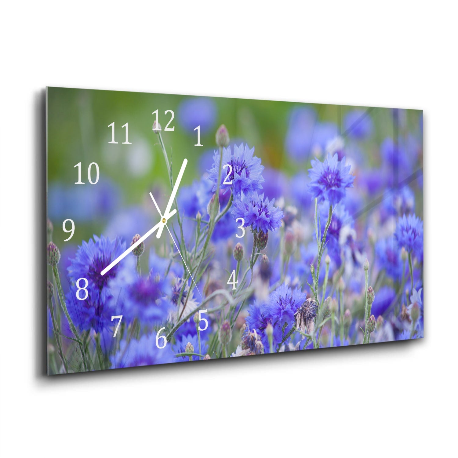 Wanduhr 60x30 - Kornblumen in Blüte