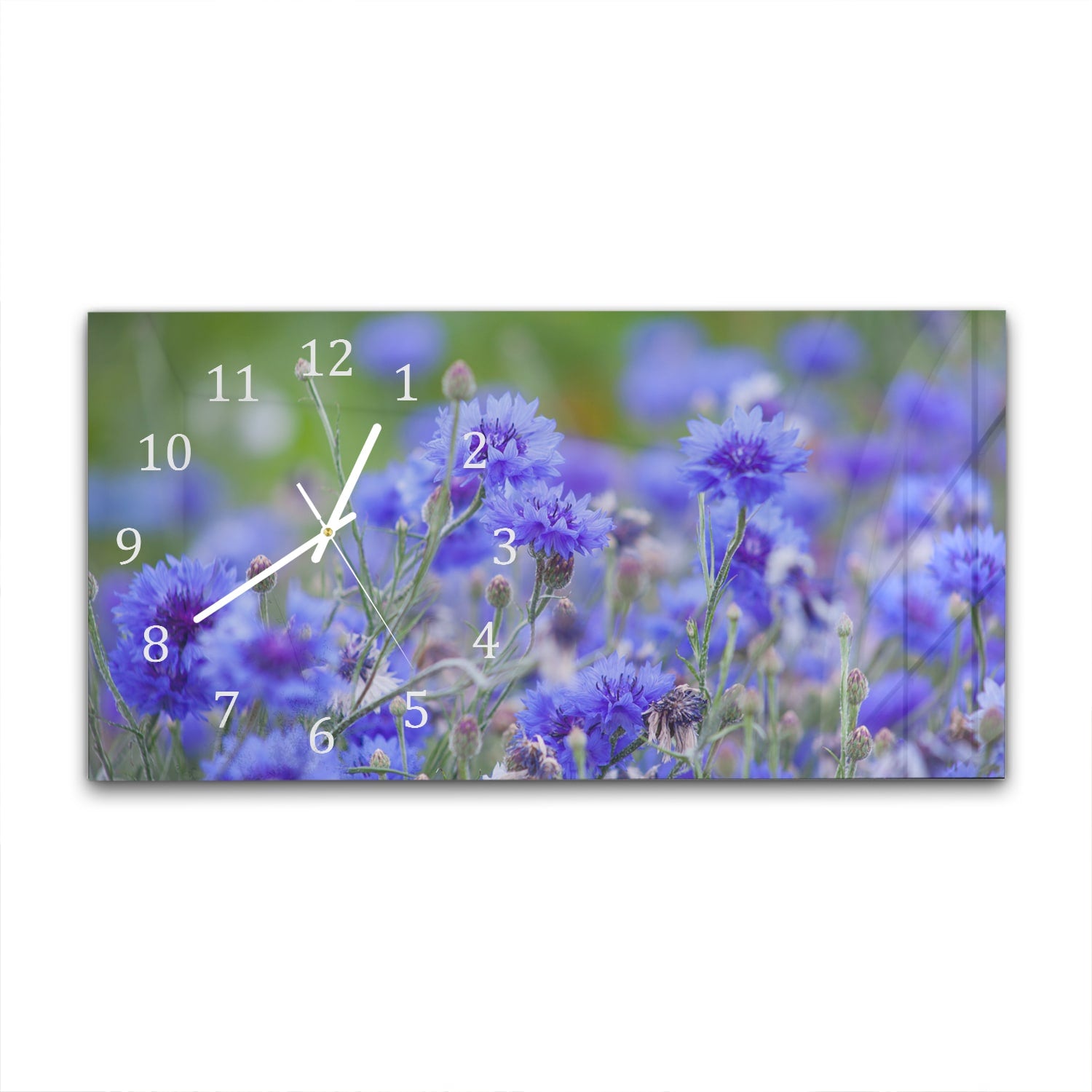 Wanduhr 60x30 - Kornblumen in Blüte