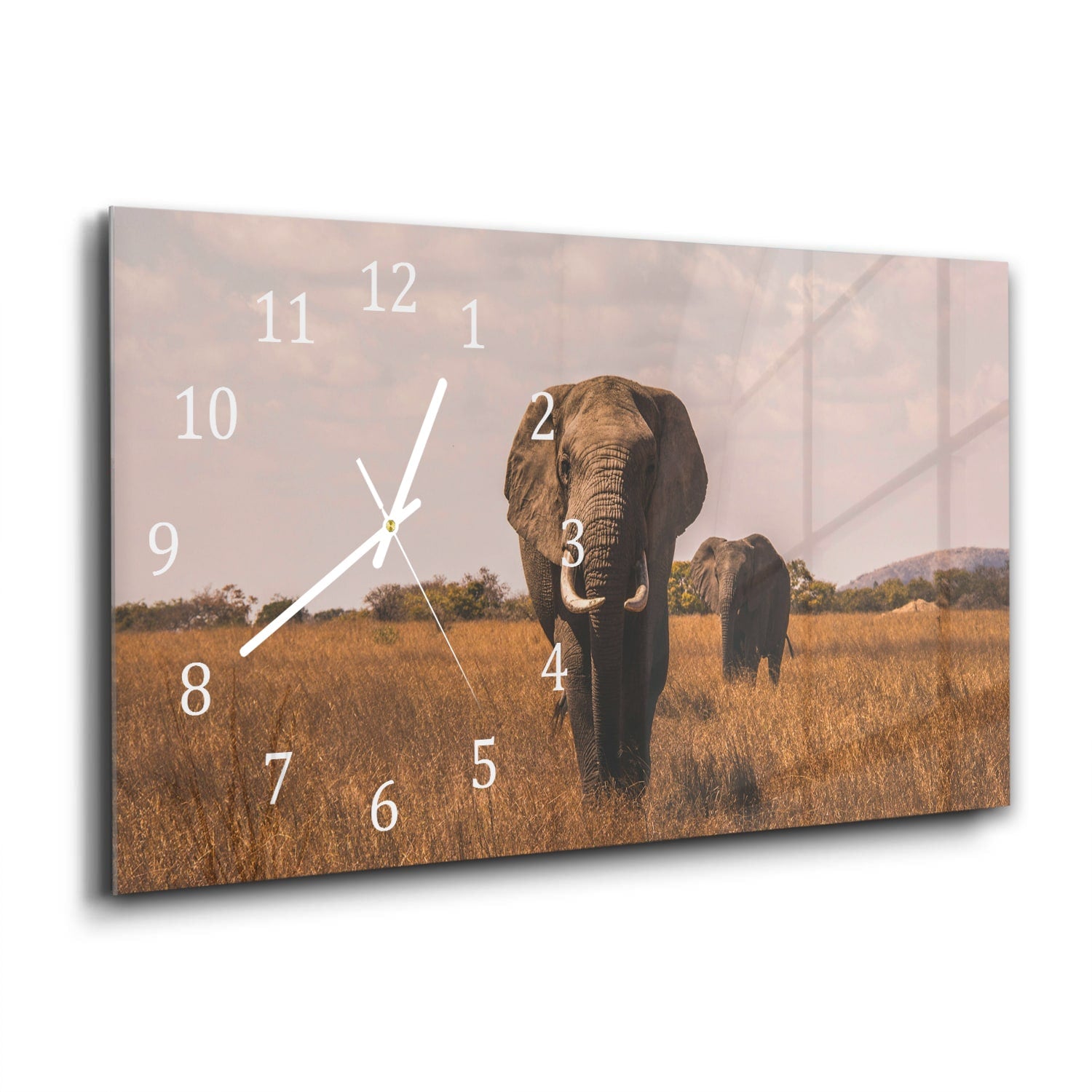 Wanduhr 60x30 - Elefanten im Feld