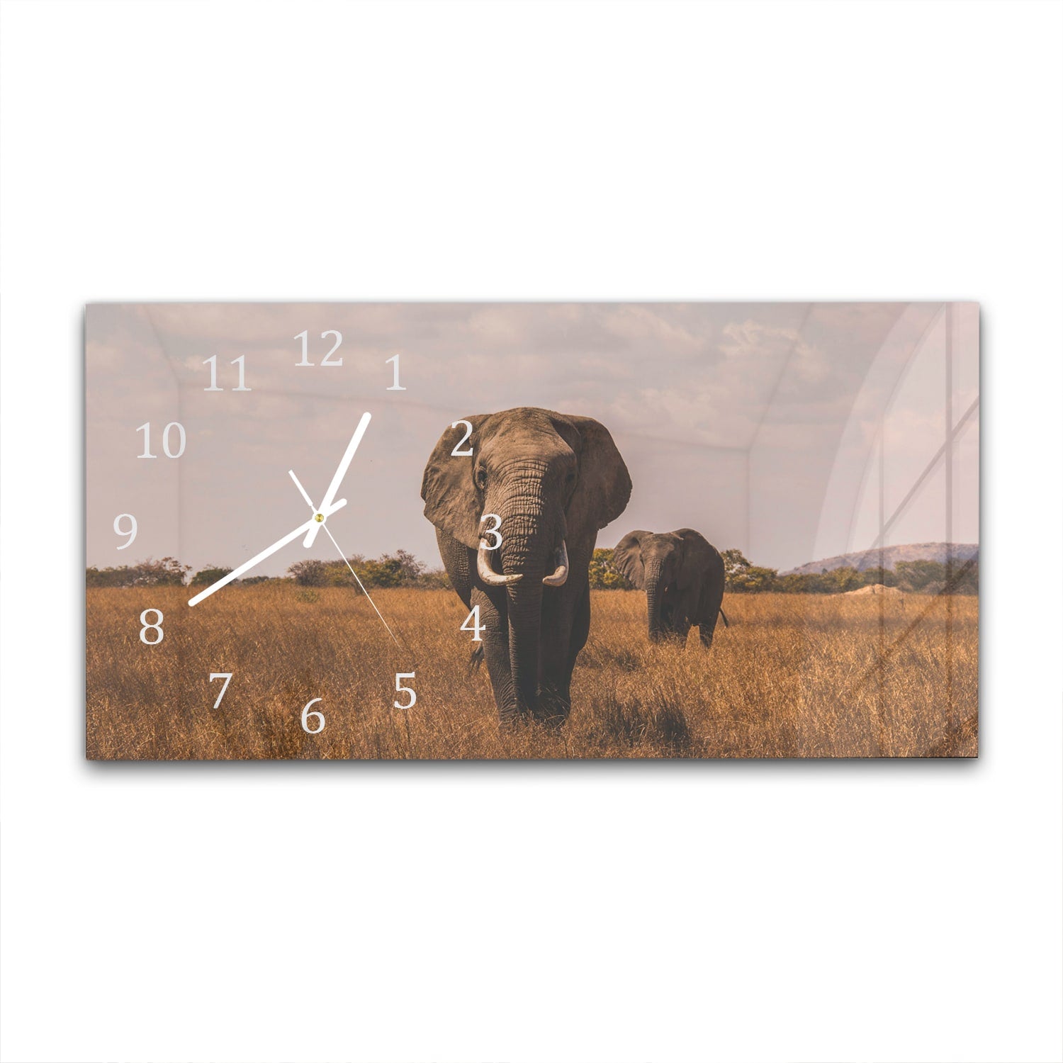 Wanduhr 60x30 - Elefanten im Feld