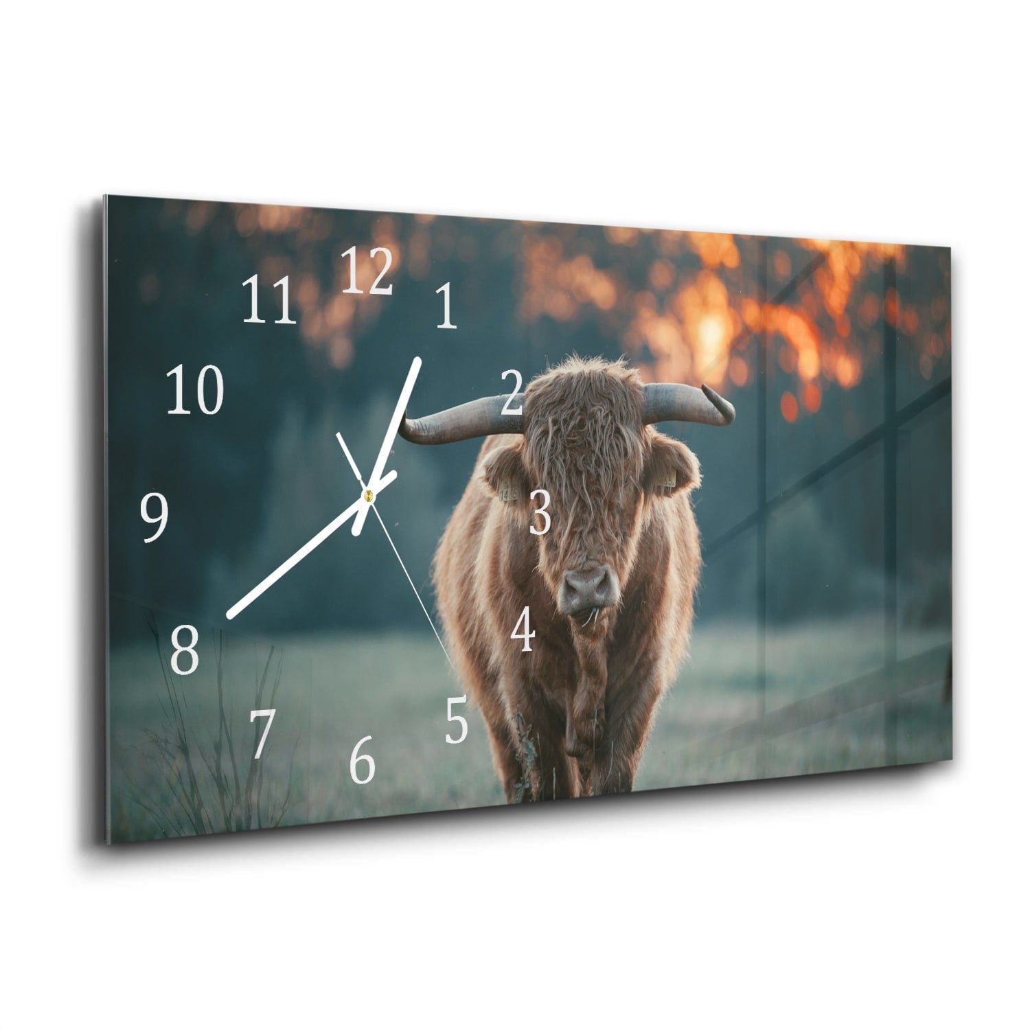 Wanduhr 60x30 - Hochlandrind am Abend