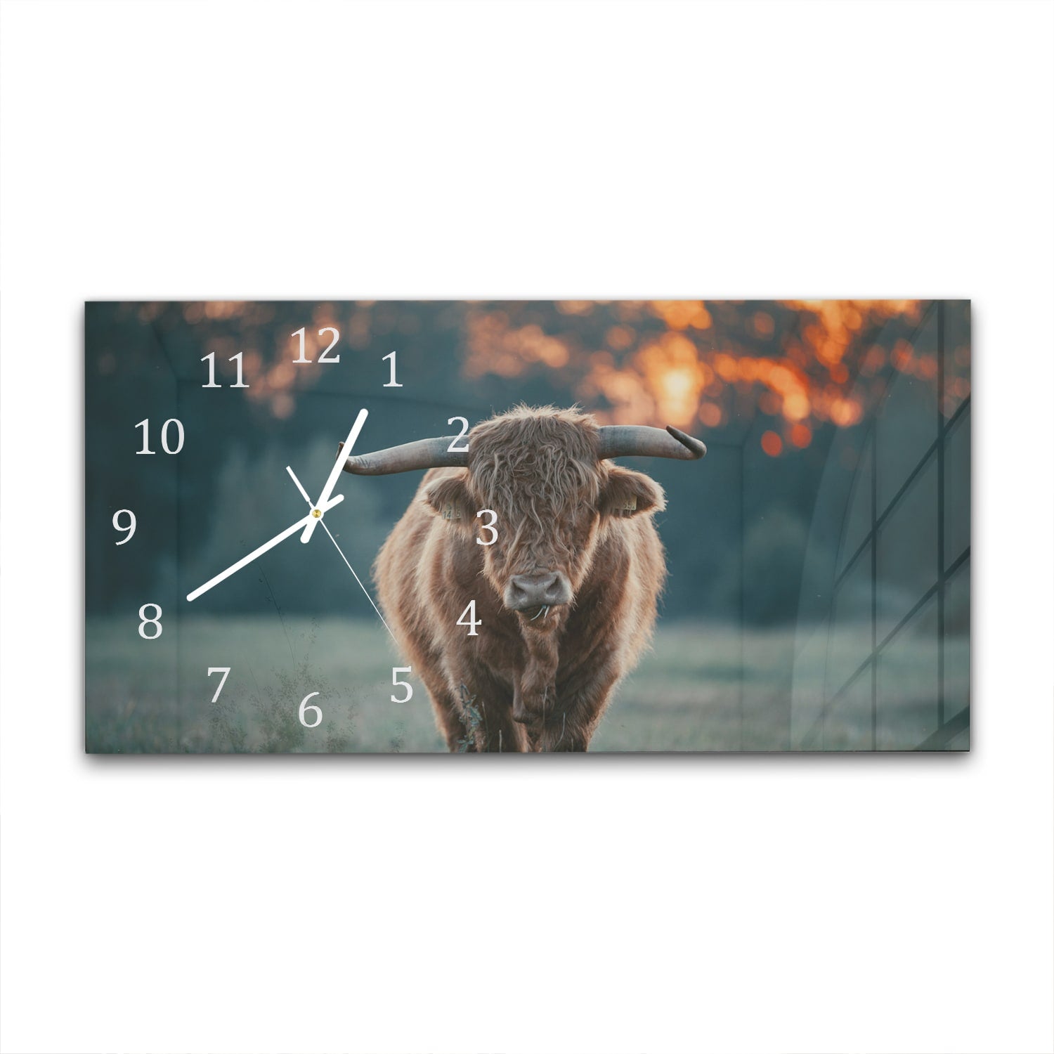 Wanduhr 60x30 - Hochlandrind am Abend