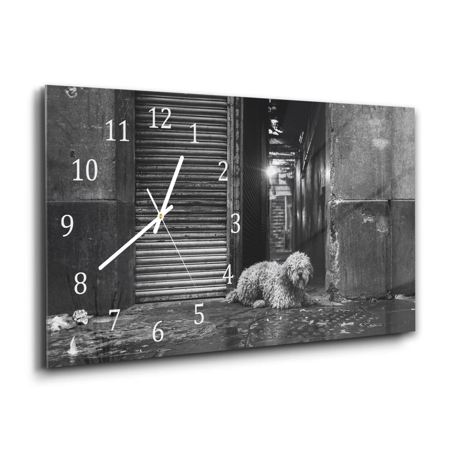 Wanduhr 60x30 - Schwarz-weiß Hund auf der Straße