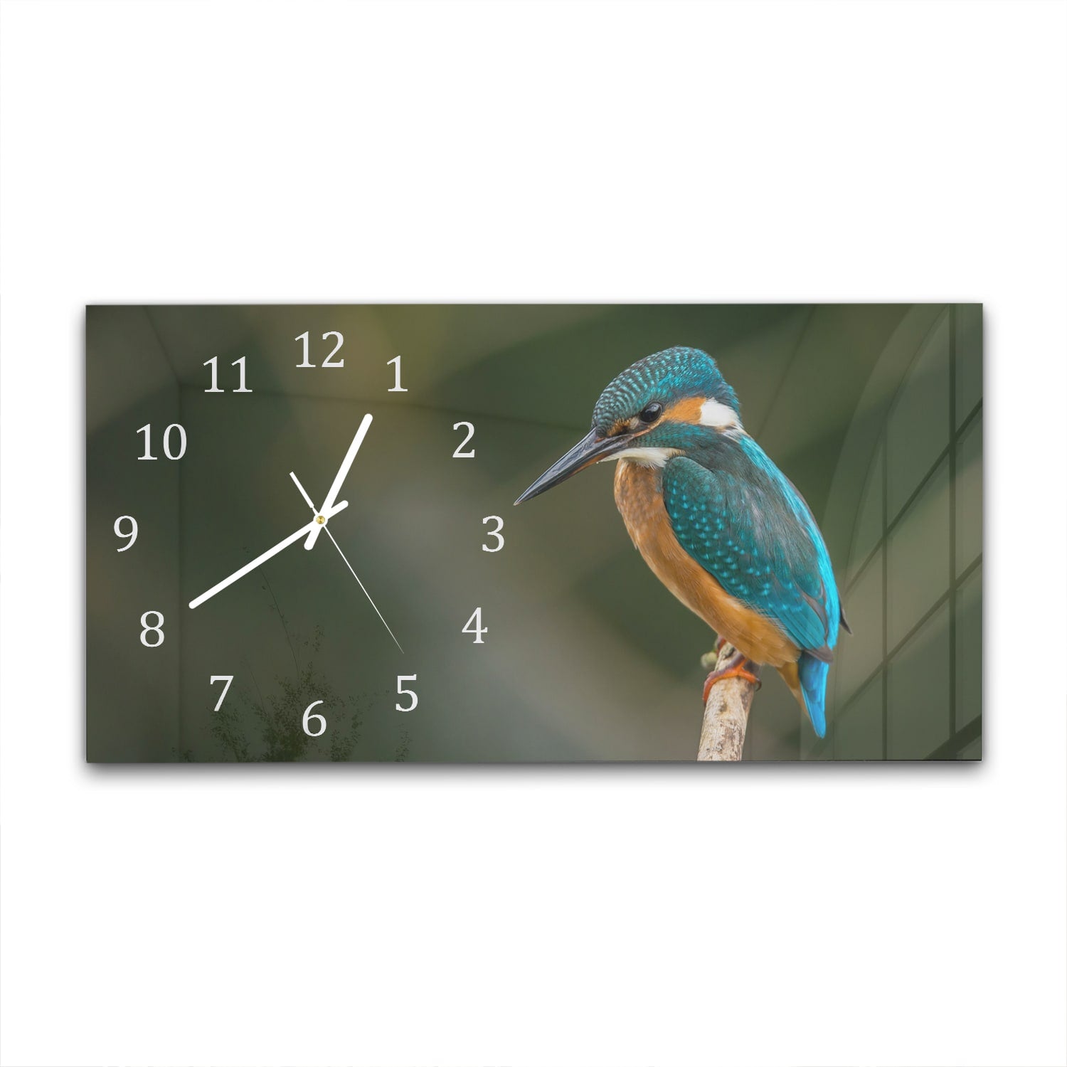 Wanduhr 60x30 - Bunter Eisvogel