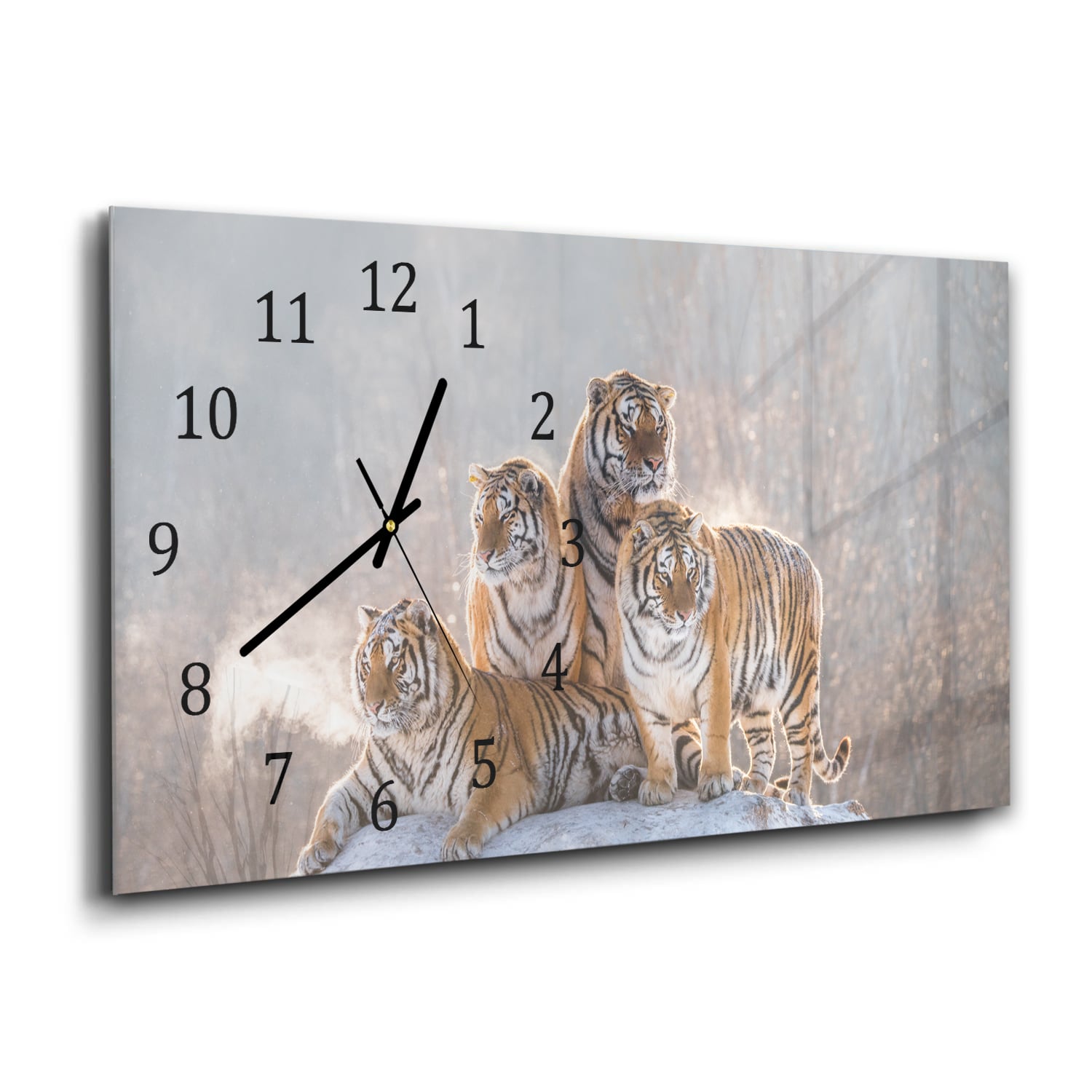 Wanduhr 60x30 - Gruppe von Tigern