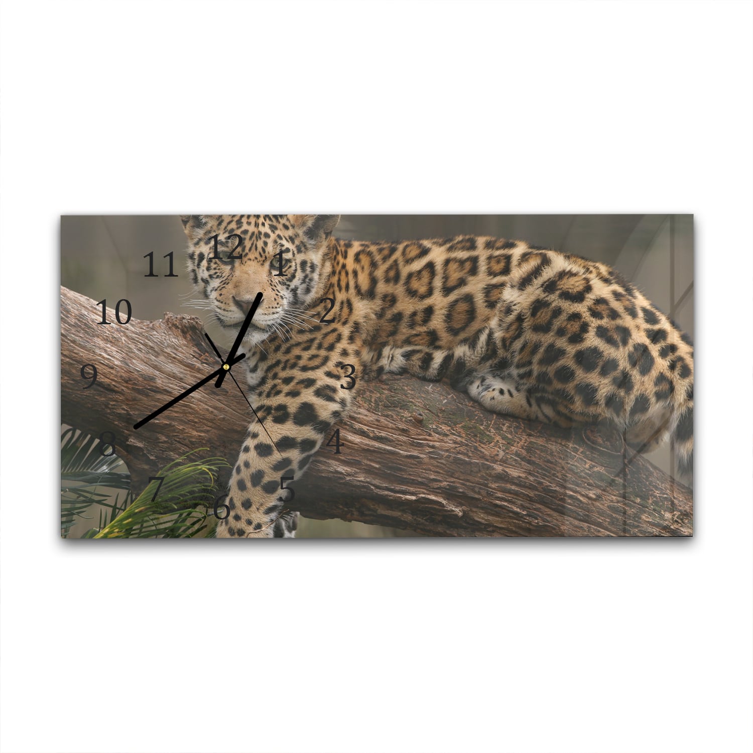Wanduhr 60x30 - Jaguar auf dem Baum