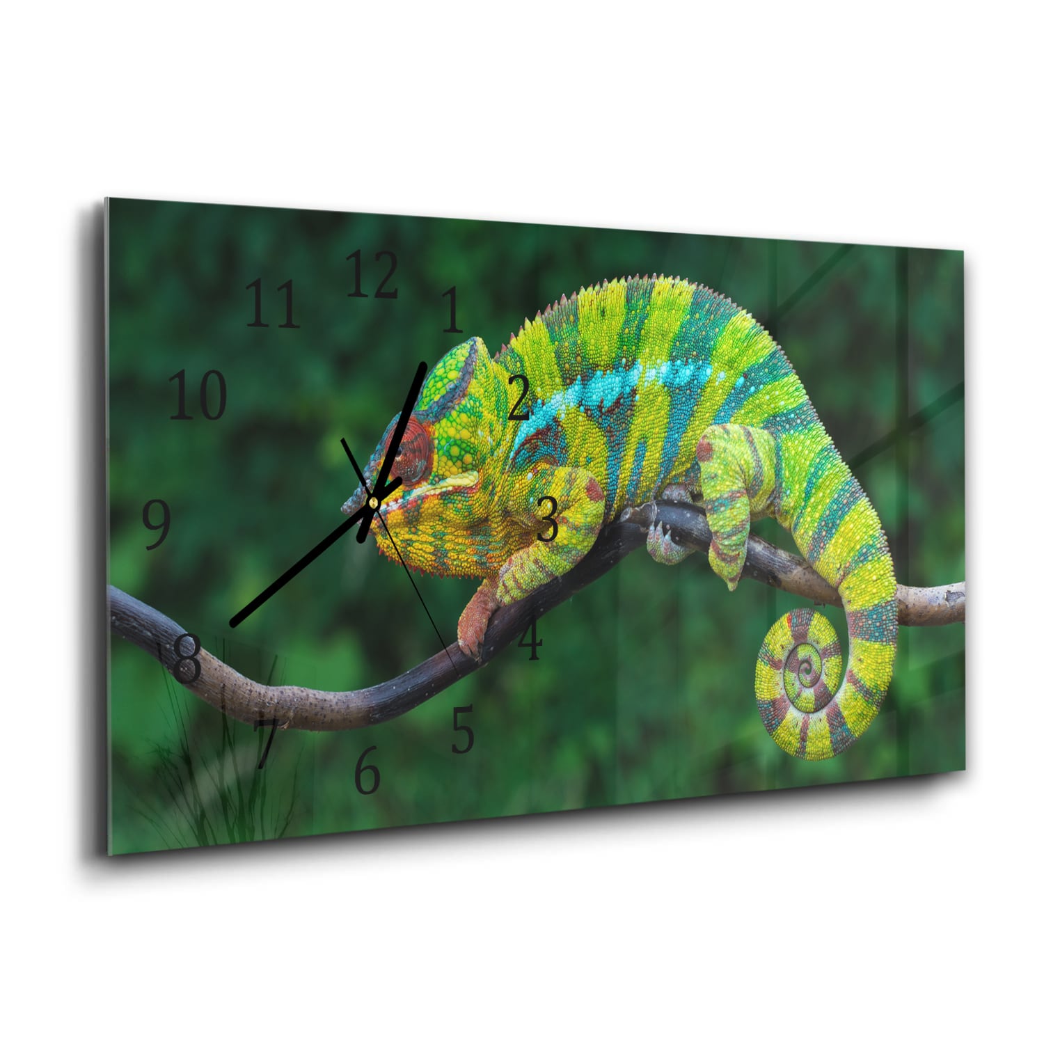 Wanduhr 60x30 - Pantherchamäleon