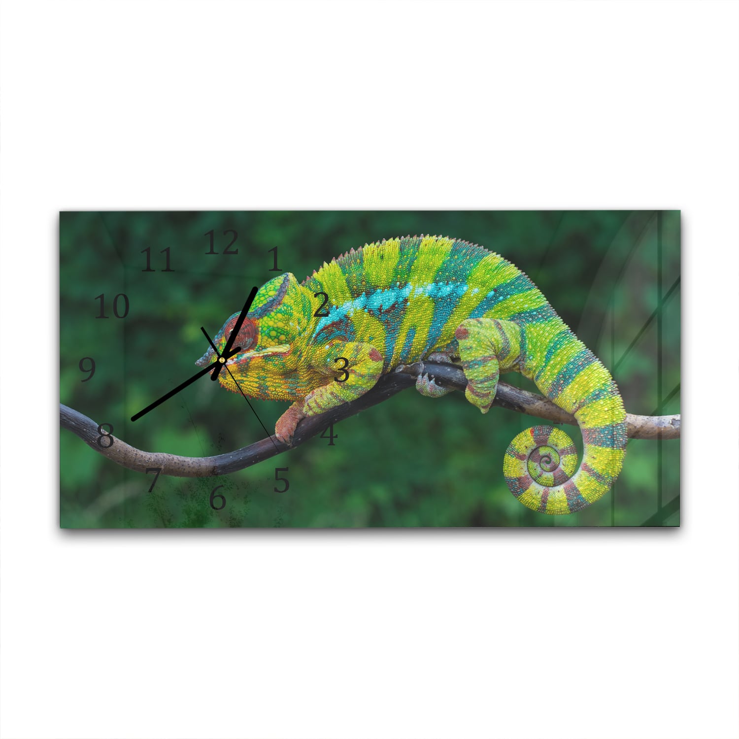 Wanduhr 60x30 - Pantherchamäleon