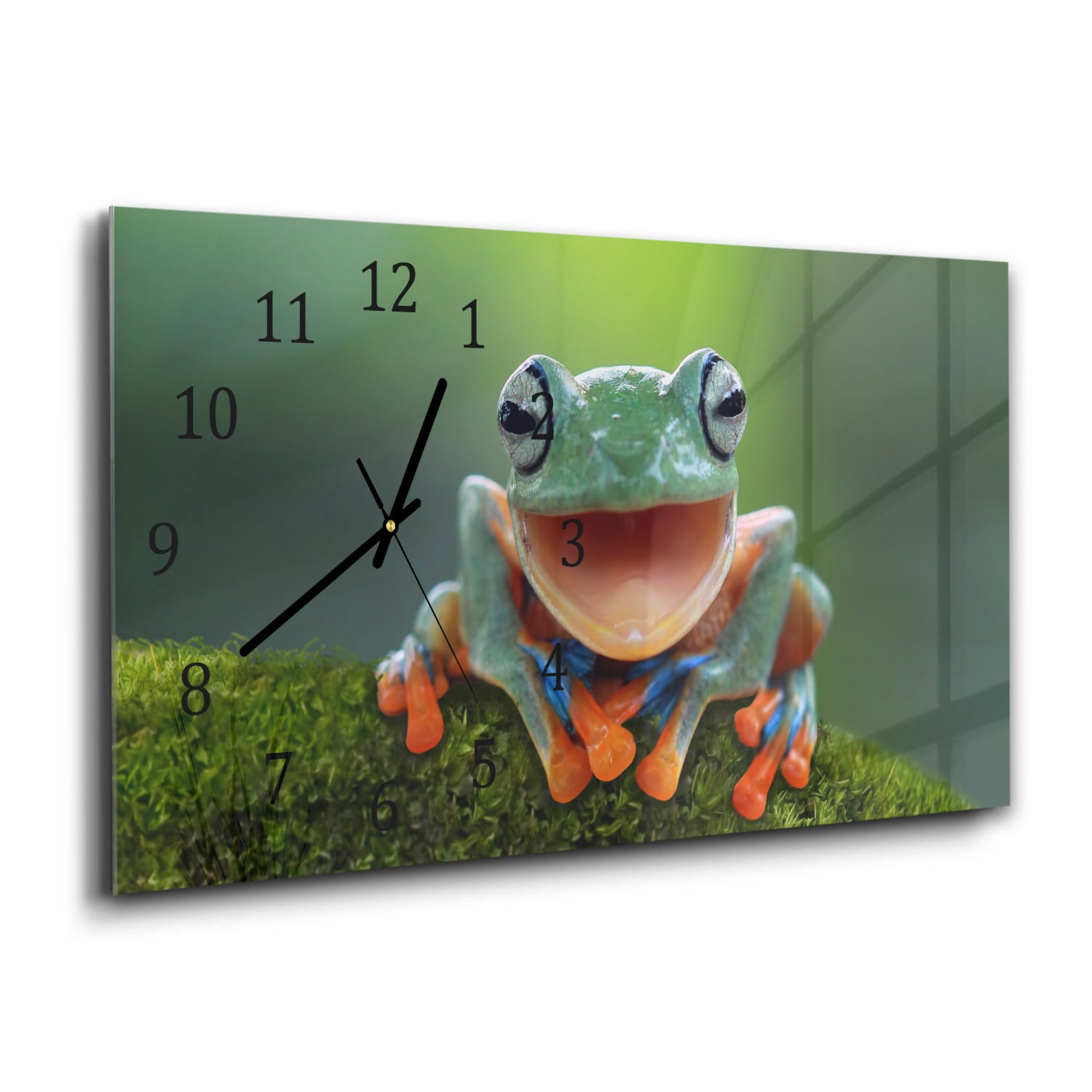 Wanduhr 60x30 - Baumfrosch