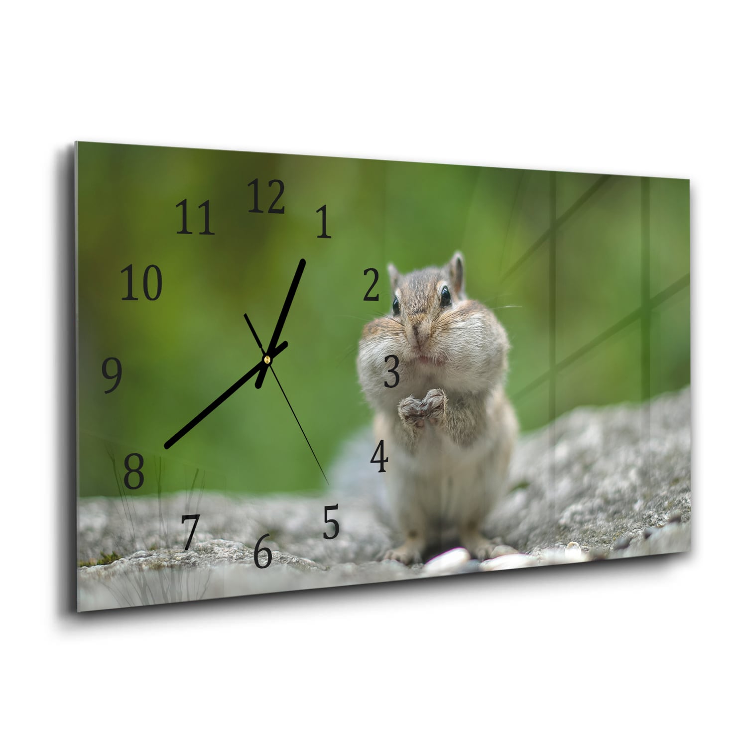 Wanduhr 60x30 - Eichhörnchen