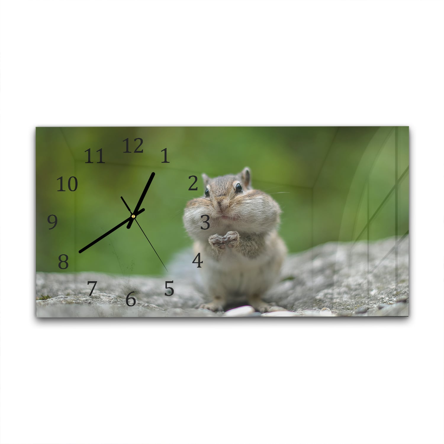 Wanduhr 60x30 - Eichhörnchen