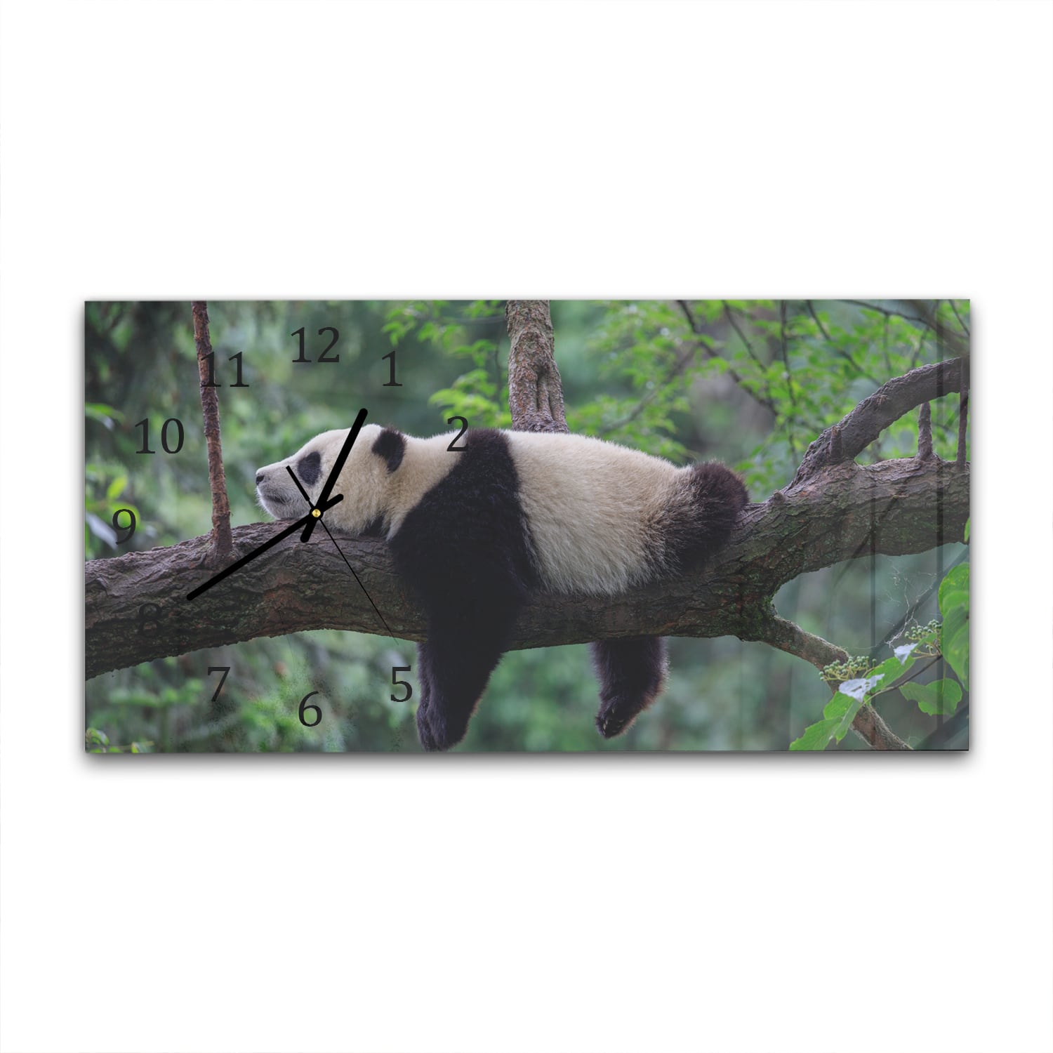 Wanduhr 60x30 - Panda