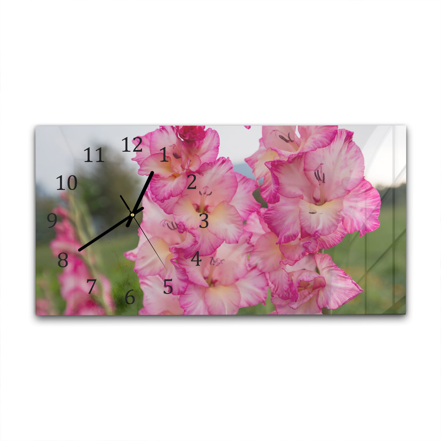 Wanduhr 60x30 - Rosa Gladiolen