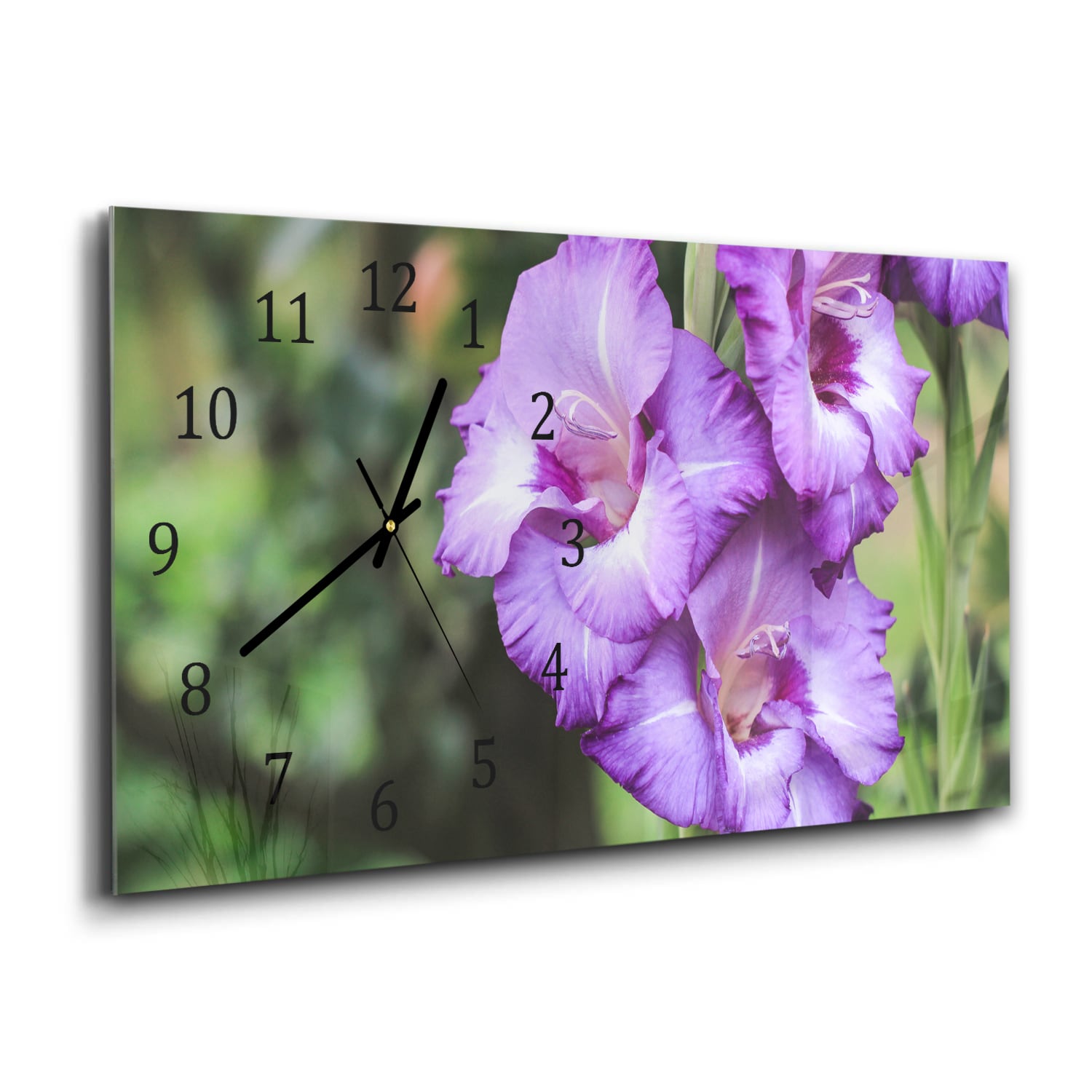 Wanduhr 60x30 - Lila Gladiolen