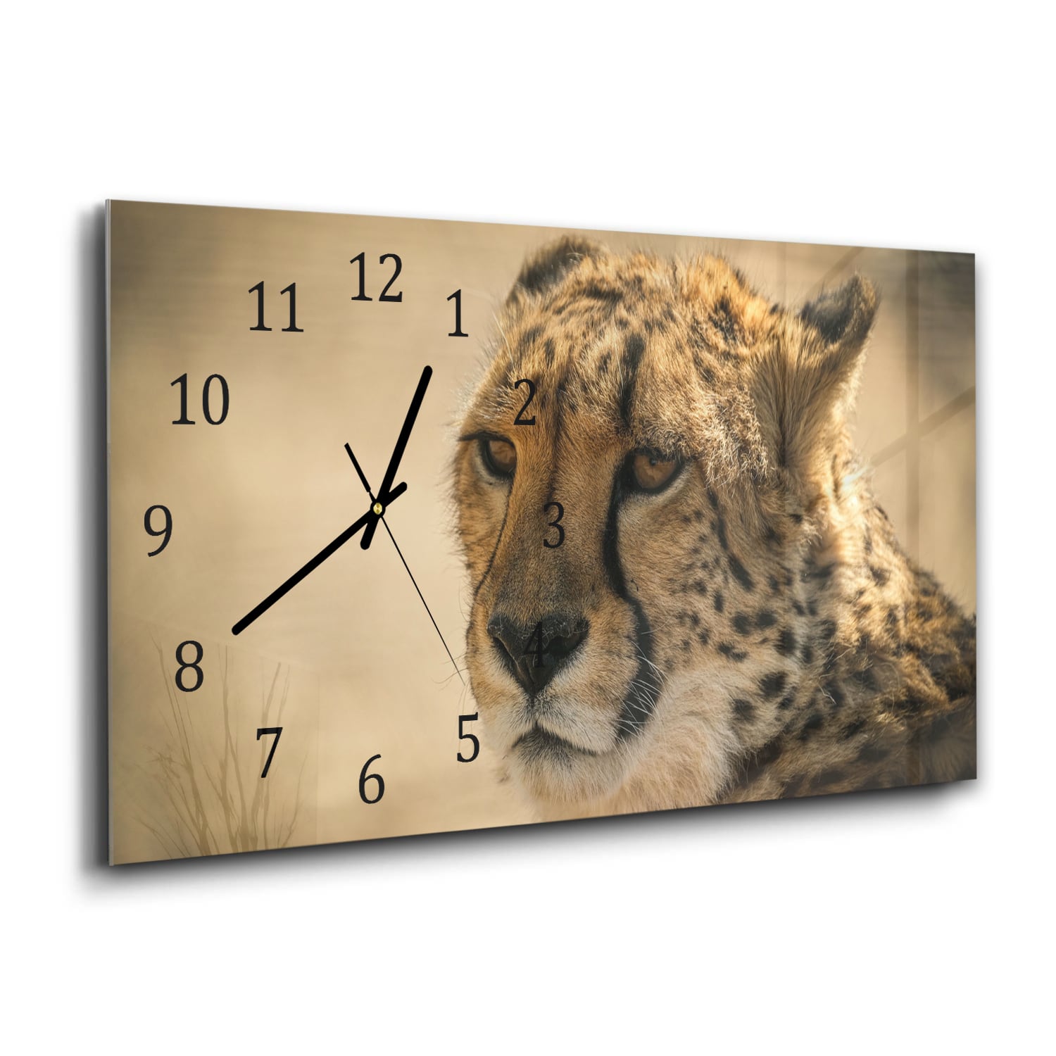 Wanduhr 60x30 - Gepard Nahaufnahme