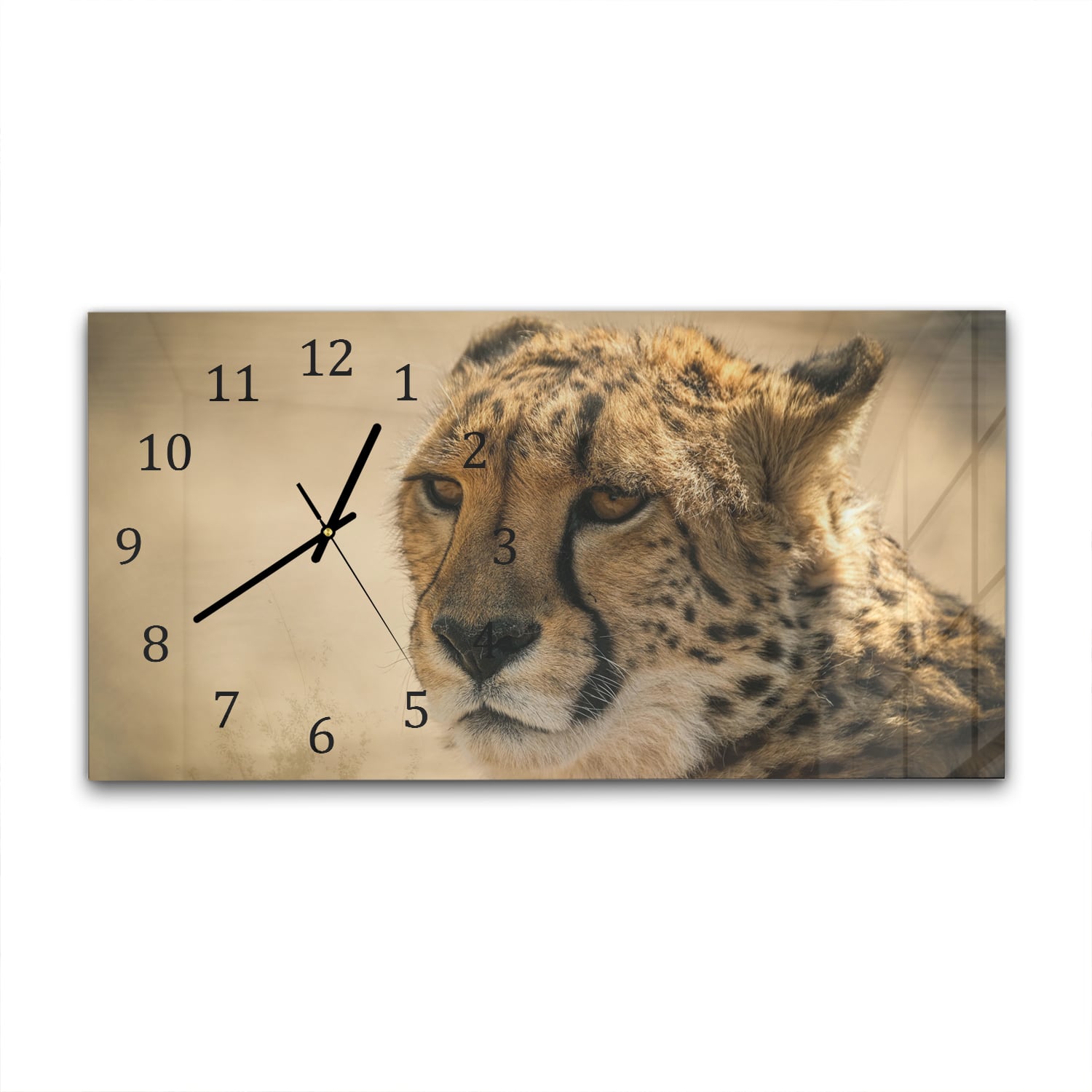 Wanduhr 60x30 - Gepard Nahaufnahme