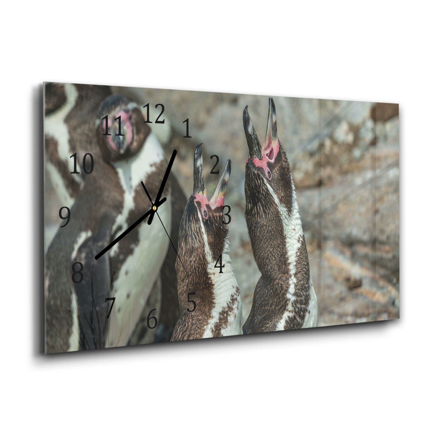 Wanduhr 60x30 - Fröhliche Pinguine