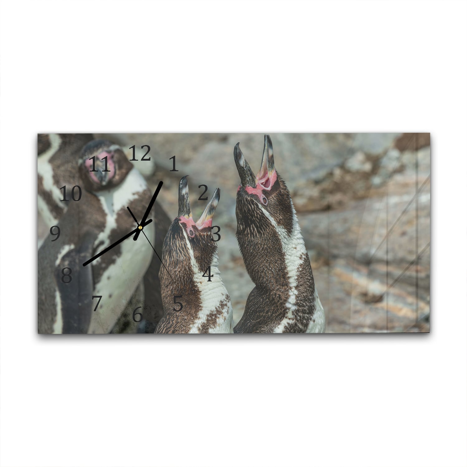 Wanduhr 60x30 - Fröhliche Pinguine