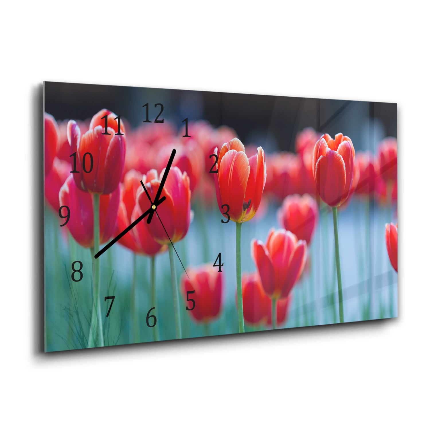 Wanduhr 60x30 - Rote Tulpen