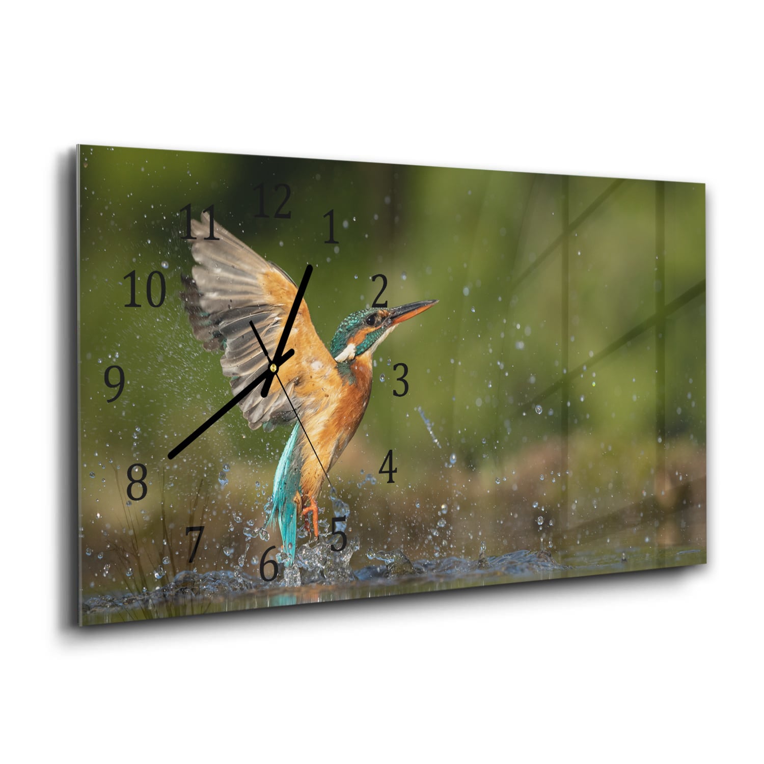 Wanduhr 60x30 - Eisvogel