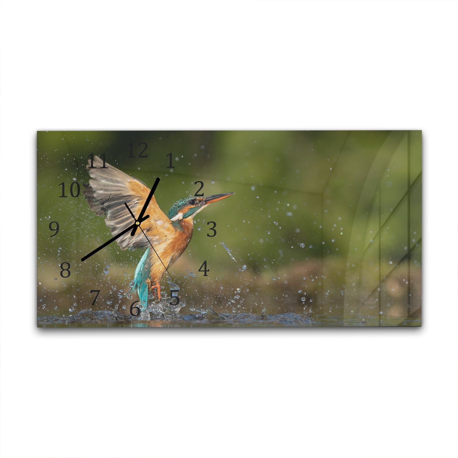 Wanduhr 60x30 - Eisvogel