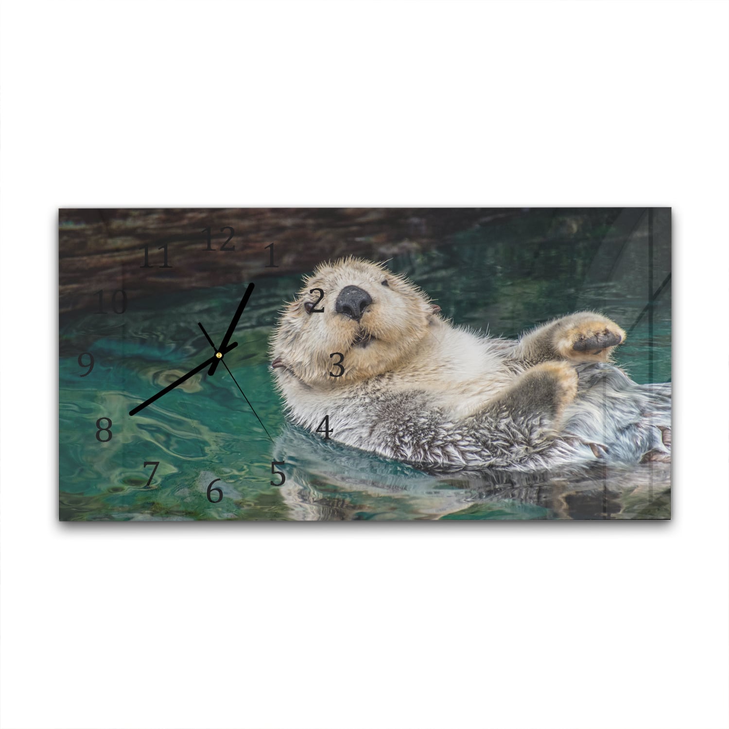 Wanduhr 60x30 - Seeotter
