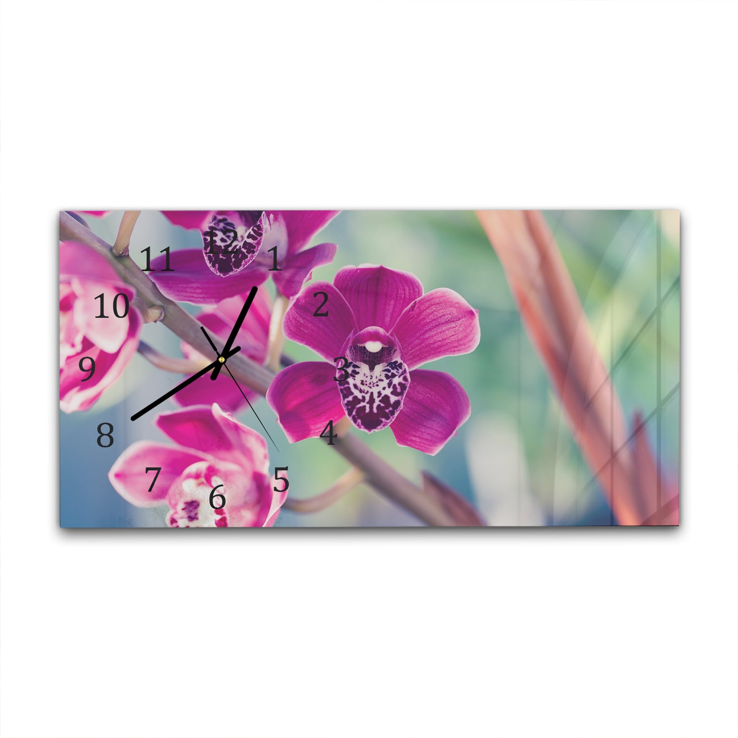 Wanduhr 60x30 - Schmetterlingsorchidee