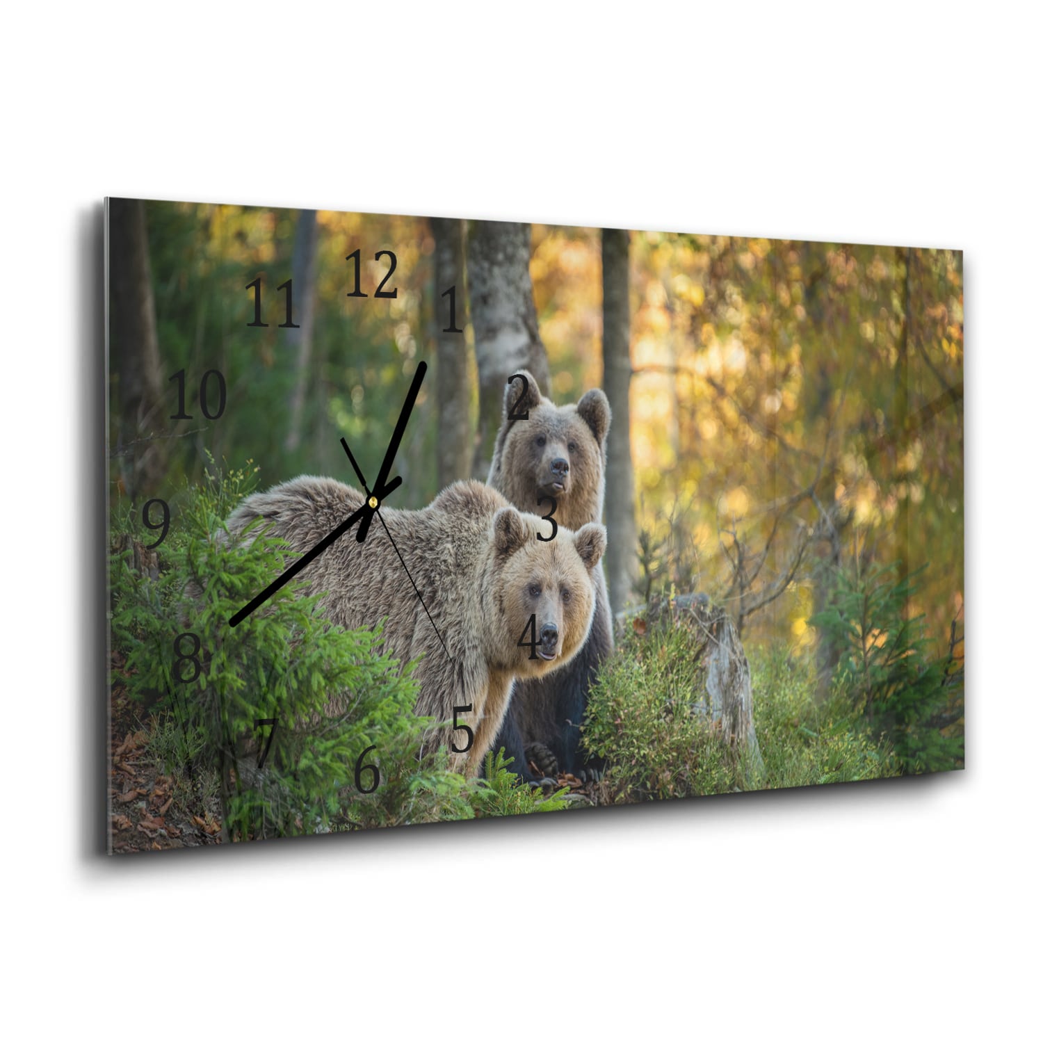 Wanduhr 60x30 - Braunbären