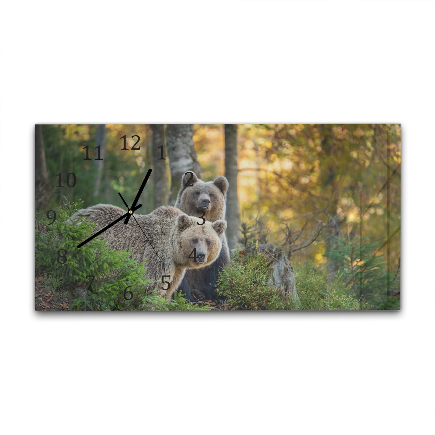 Wanduhr 60x30 - Braunbären