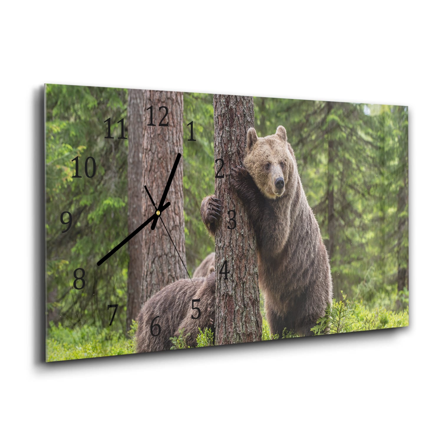 Wanduhr 60x30 - Braunbären im Wald