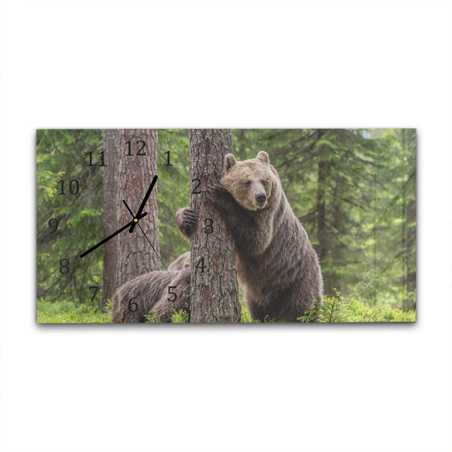 Wanduhr 60x30 - Braunbären im Wald