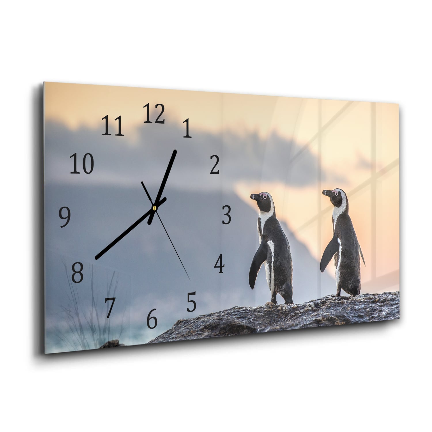 Wanduhr 60x30 - Afrikanische Pinguine