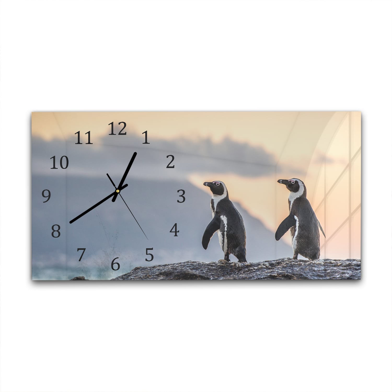 Wanduhr 60x30 - Afrikanische Pinguine