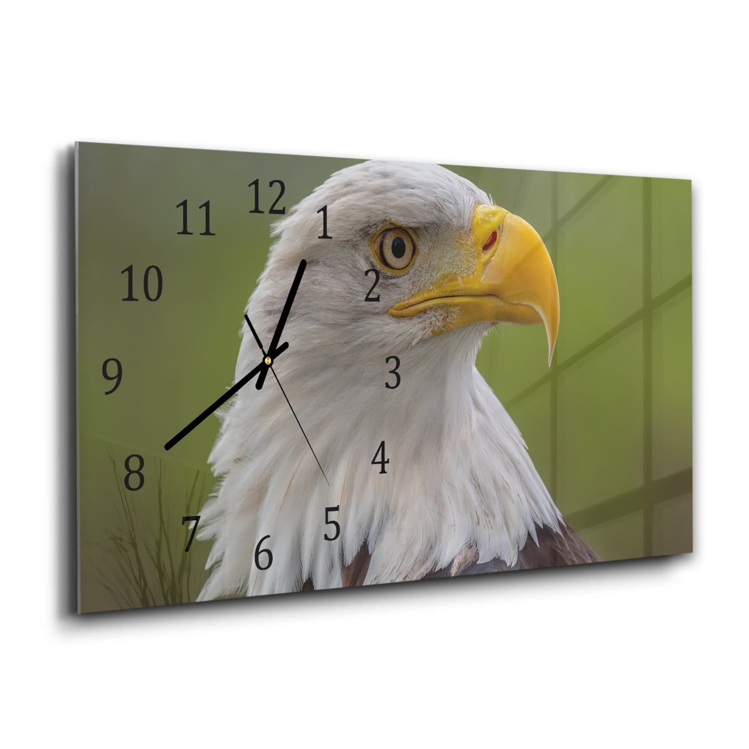 Wanduhr 60x30 - Seeadler
