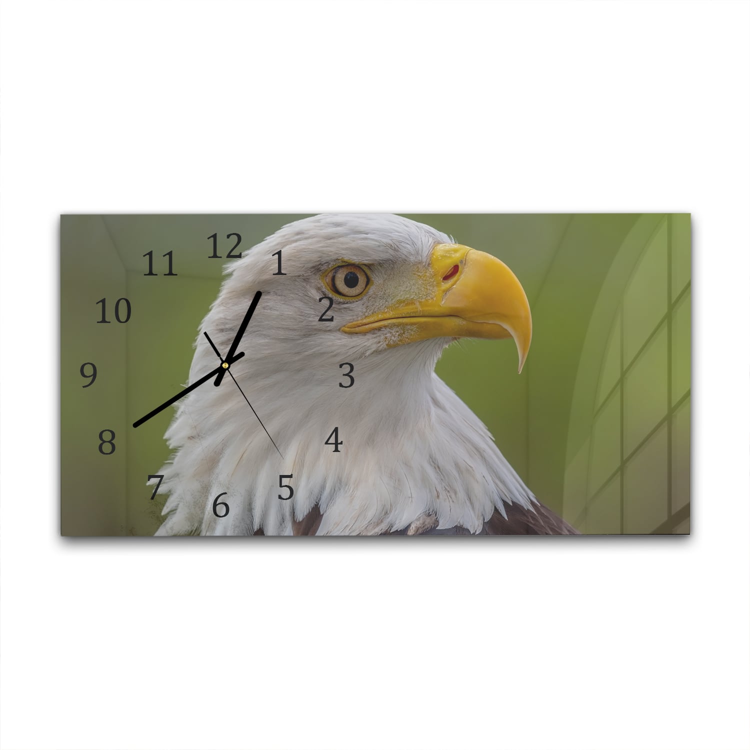 Wanduhr 60x30 - Seeadler