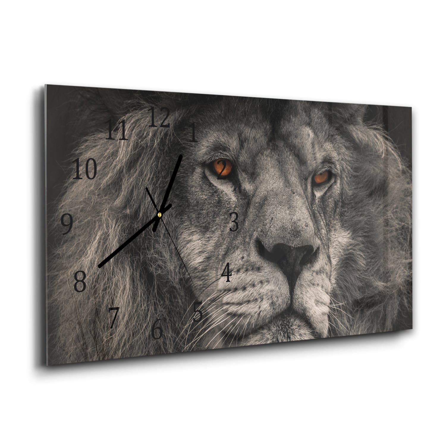 Wanduhr 60x30 - Löwe Nahaufnahme