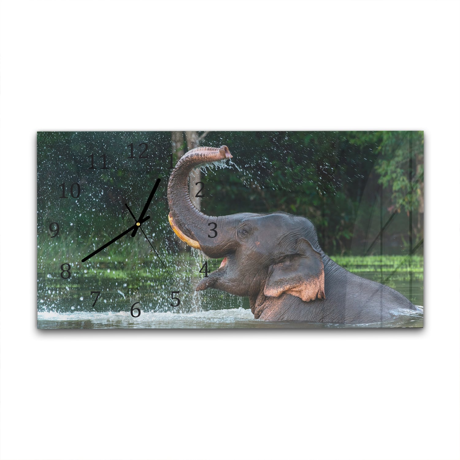 Wanduhr 60x30 - Badender Elefant