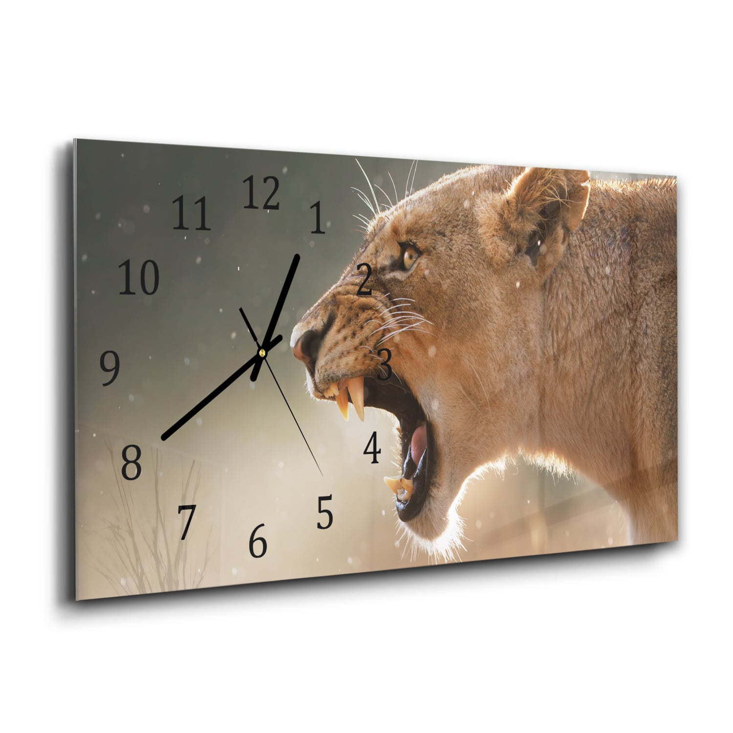 Wanduhr 60x30 - Wilde Löwin