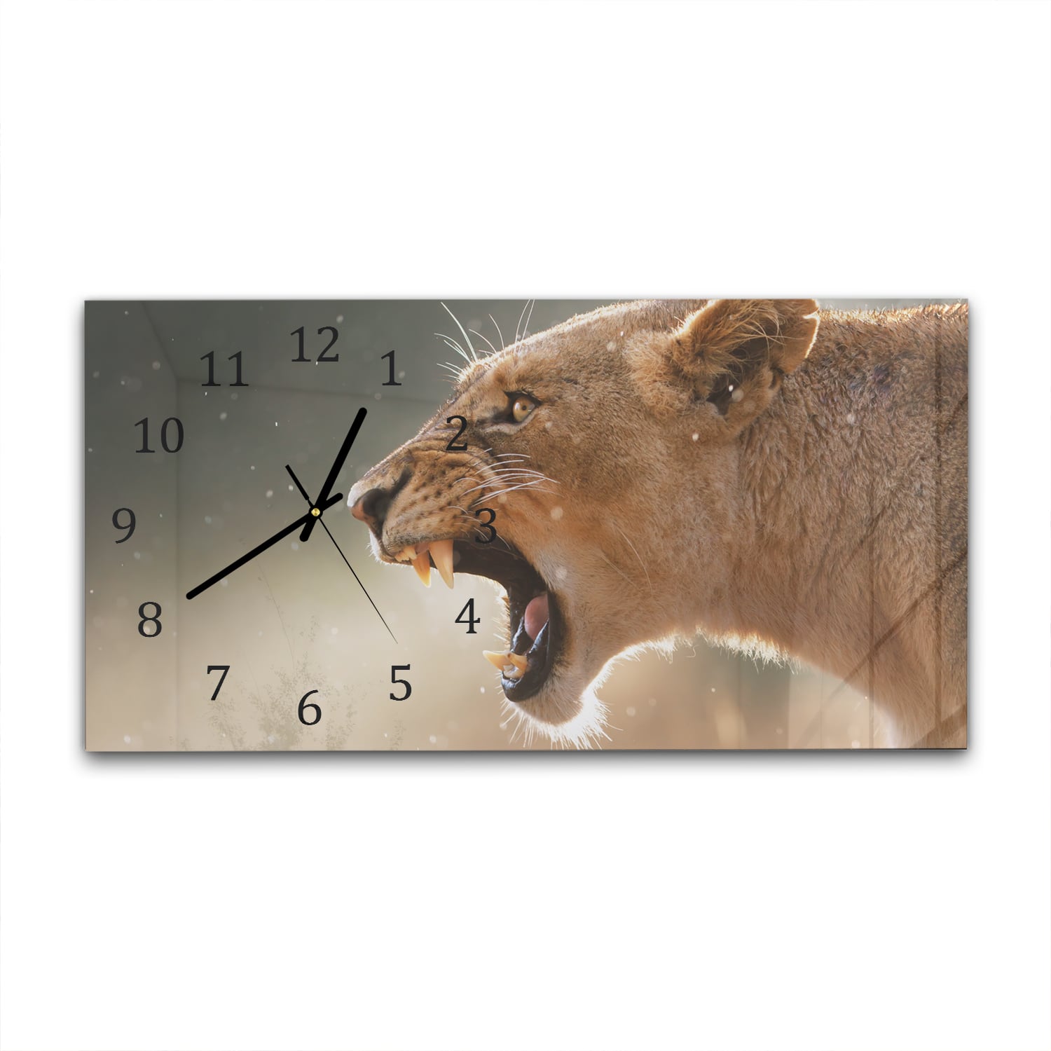 Wanduhr 60x30 - Wilde Löwin