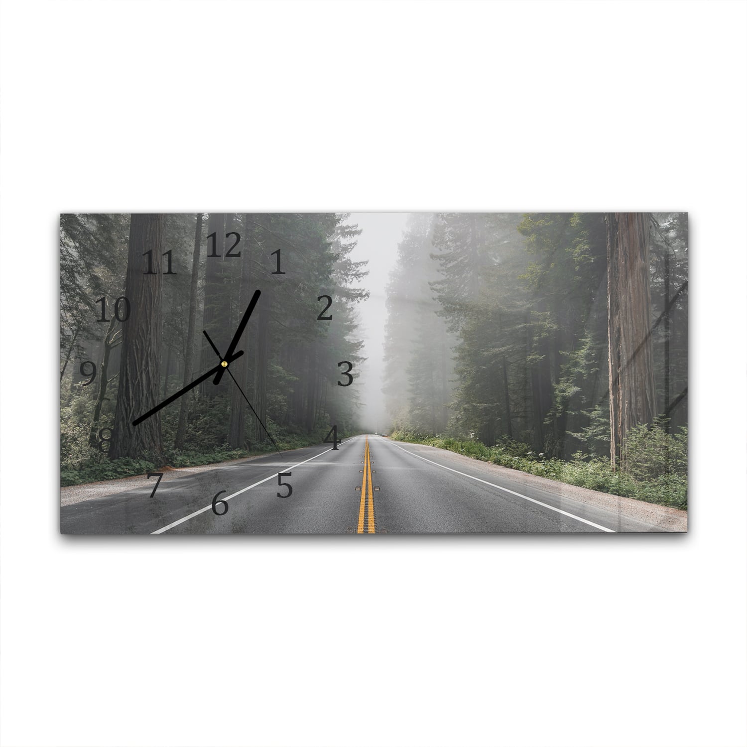 Wanduhr 60x30 - Redwood National Forest