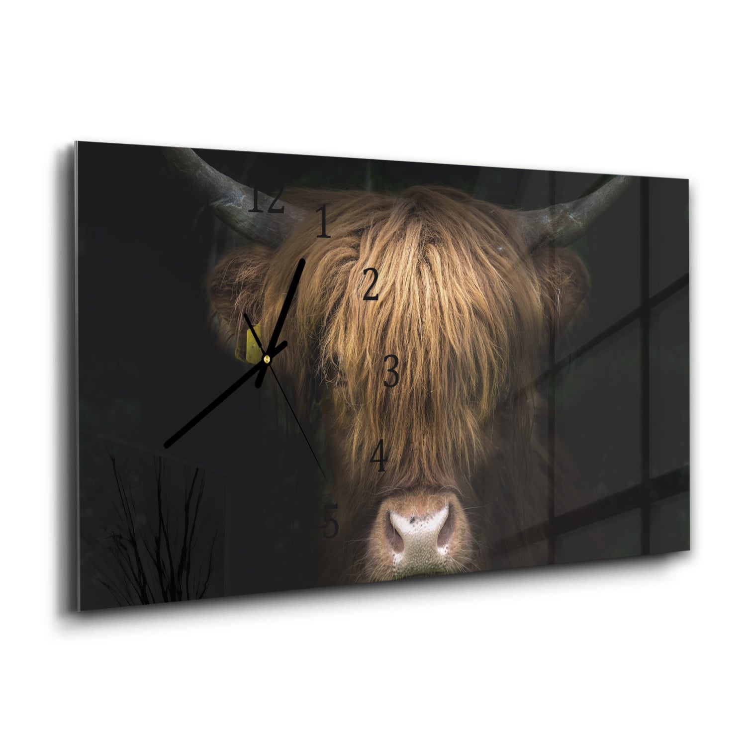 Wanduhr 60x30 - Porträt eines Schottischen Hochlandrinds