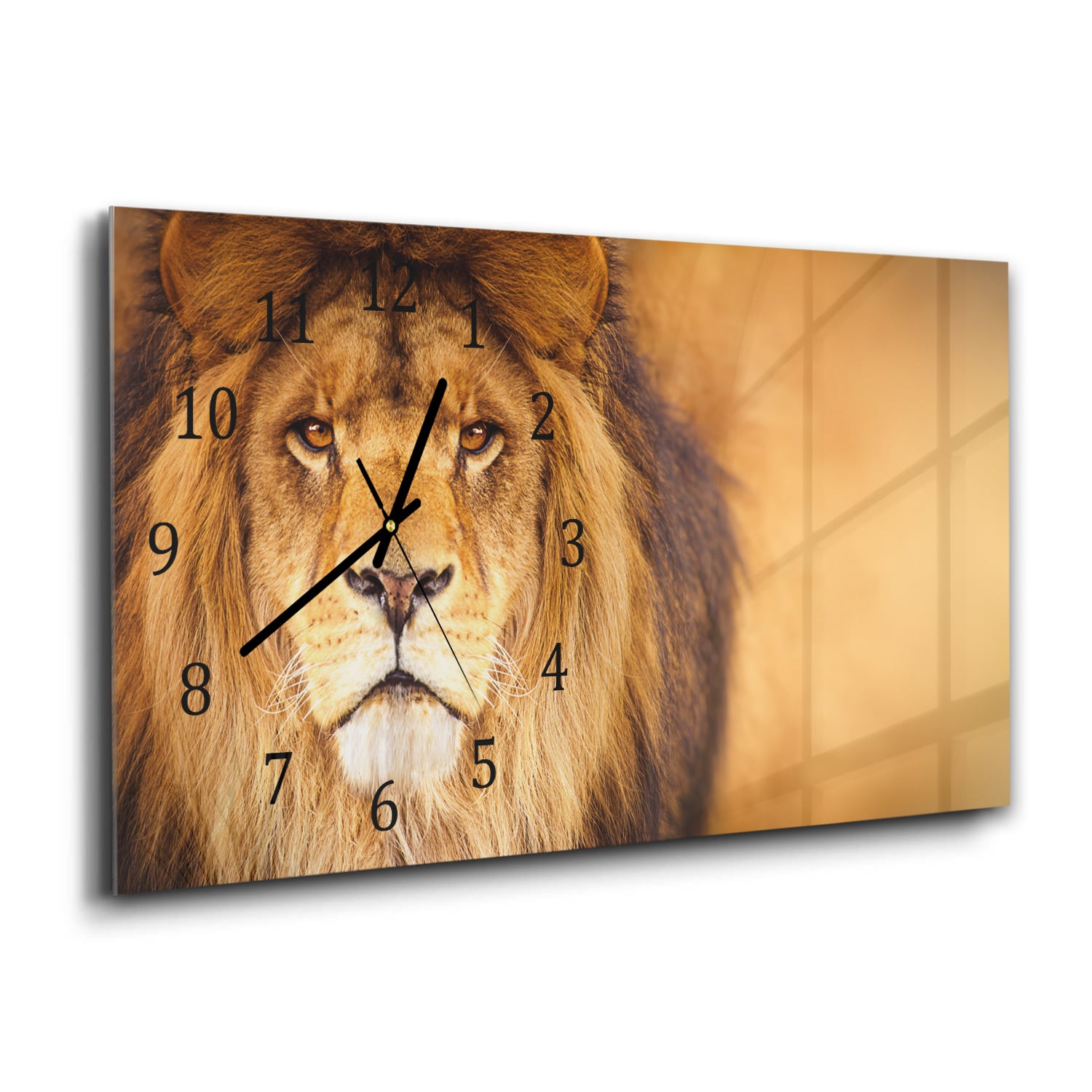 Wanduhr 60x30 - Afrikanischer Löwe